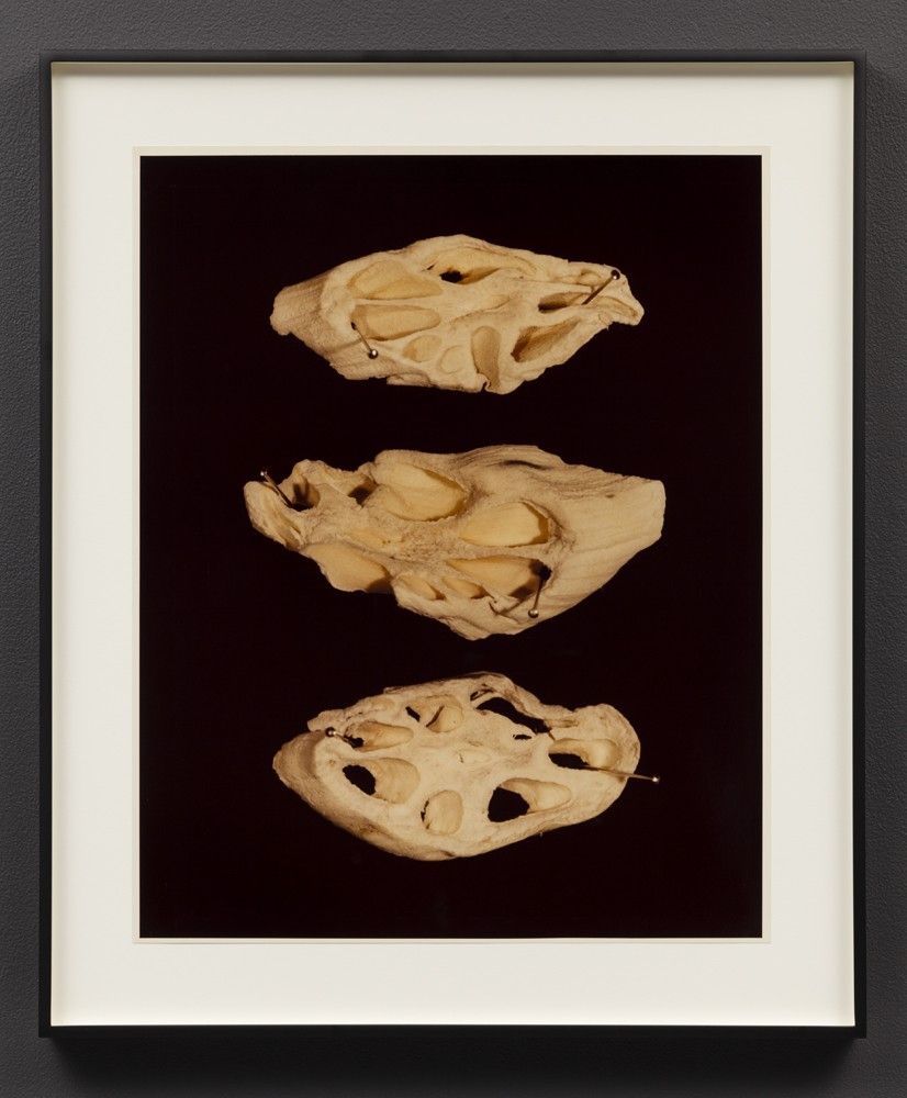 Hollis Frampton, Hollis Frampton at Room East, photo 5