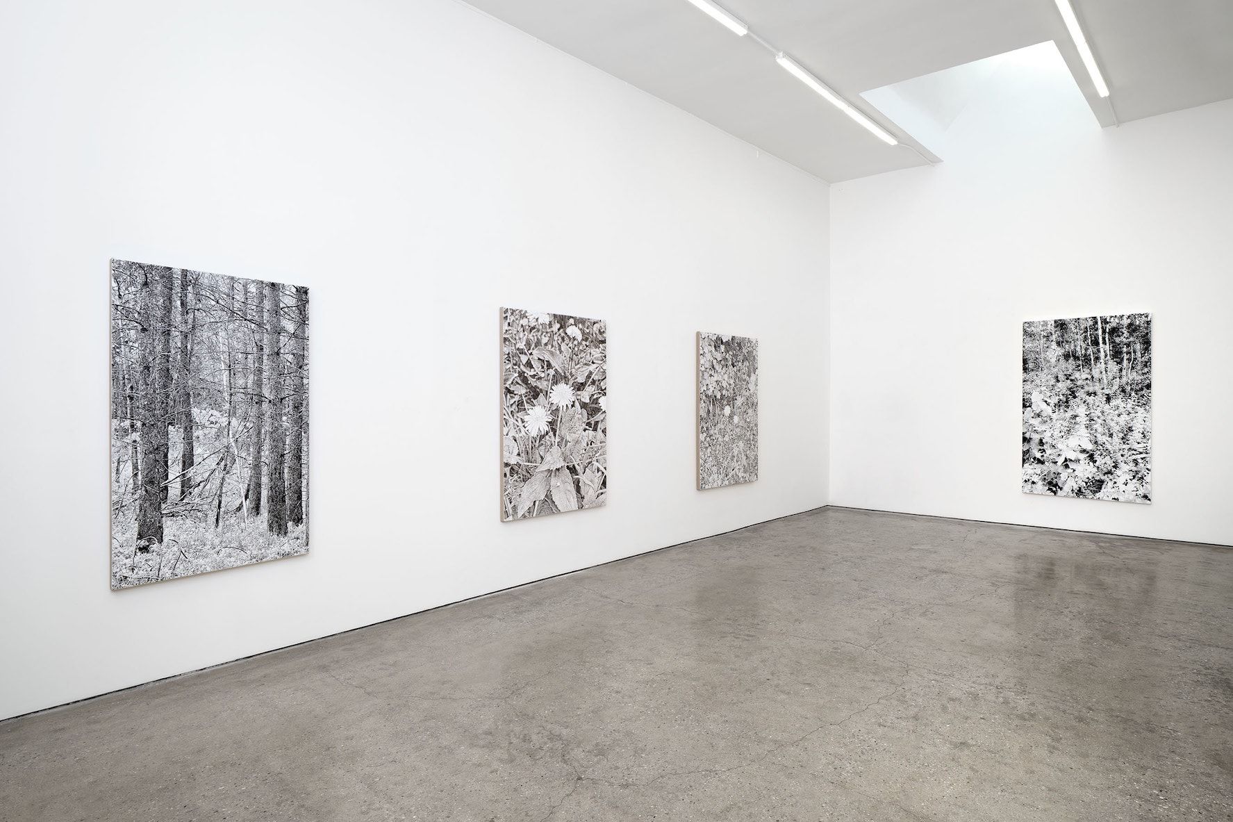 James Chronister, All the Faces We Know, All The/Places to Go/Shall We Stop to Say Hellos? at Nino Mier Gallery, photo 2