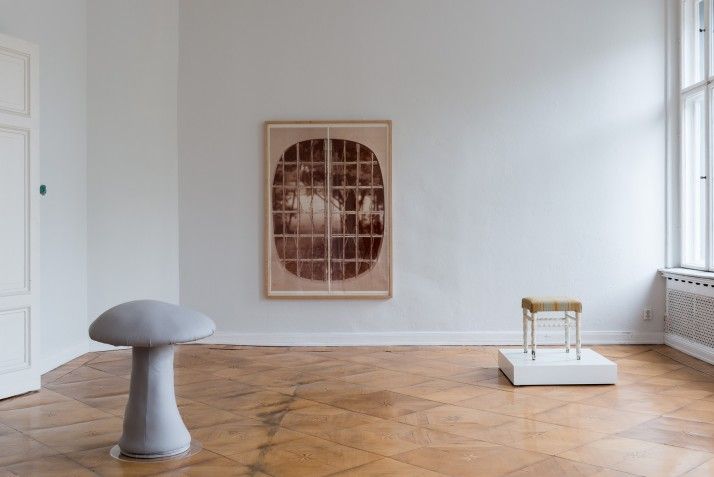 Cosima von Bonin, Early Works at Galerie Neu, photo 3