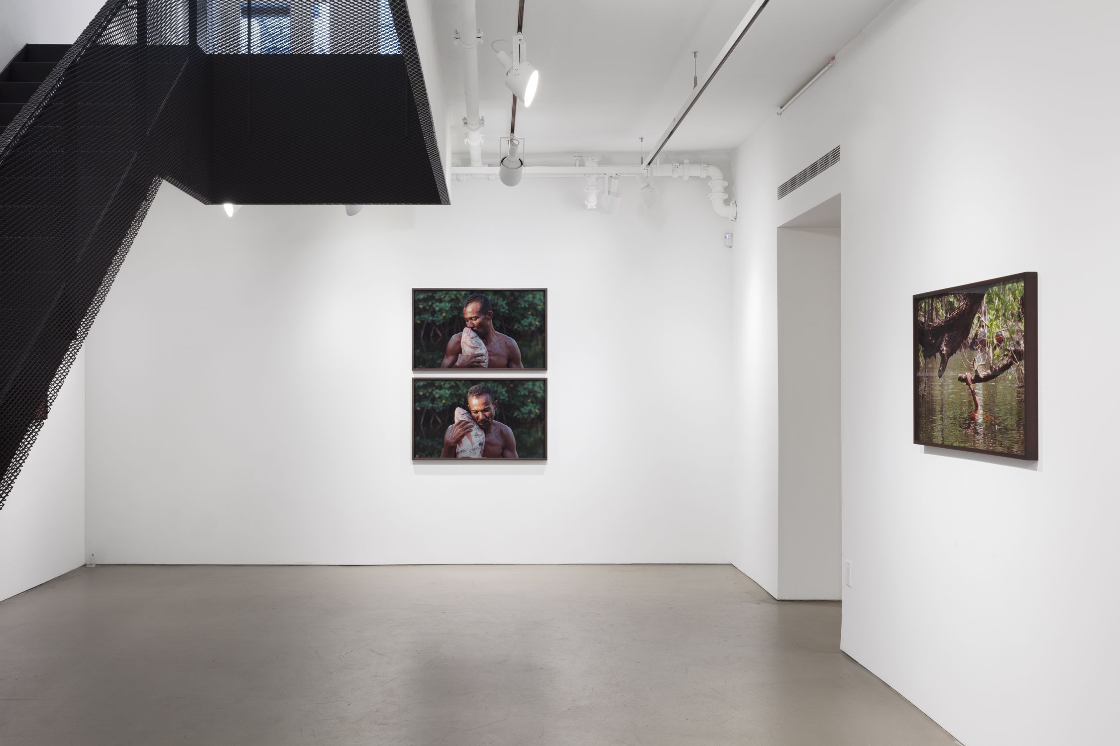 Jonathas de Andrade, O espirito das águas/The water spirits at Alexander and Bonin, photo 3