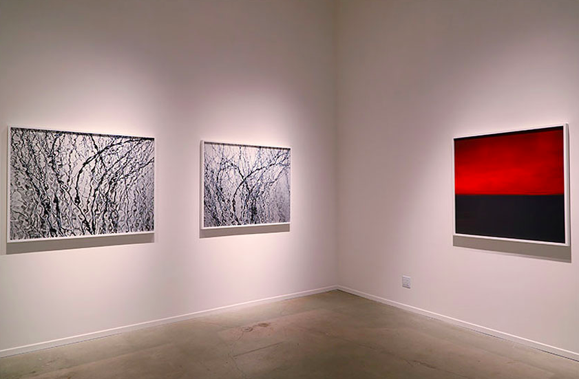 Carolyn Marks Blackwood, image 6 of 6