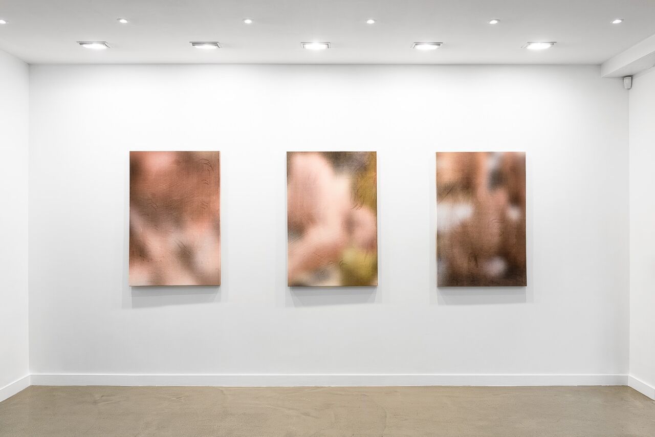 Ry David Bradley, Post Truth II at Derouillon, photo 4