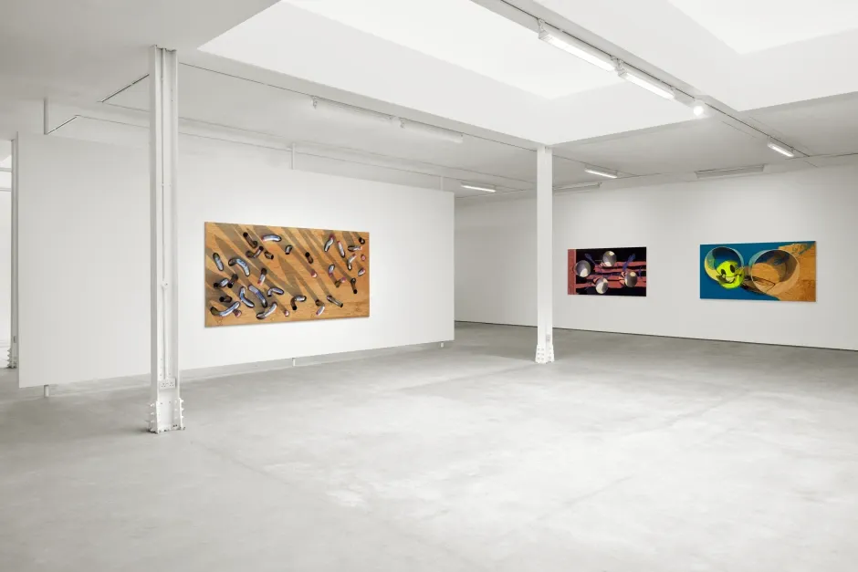 Seth Price, Art Is Not Human at Sadie Coles, photo 4