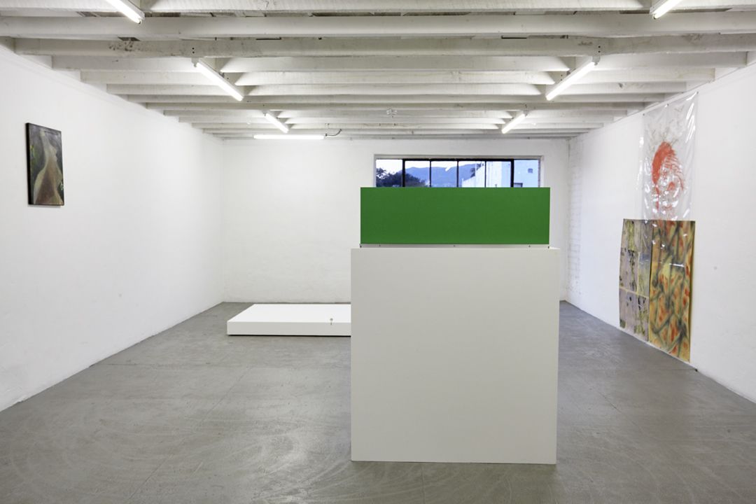 Calisthenics, Calisthenics at Thomas Duncan Gallery, photo 6