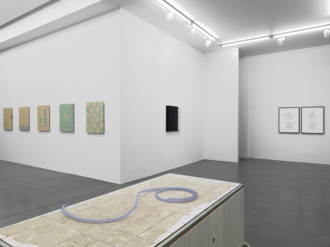Mai-Thu Perret, Zone at Simon Lee, photo 5