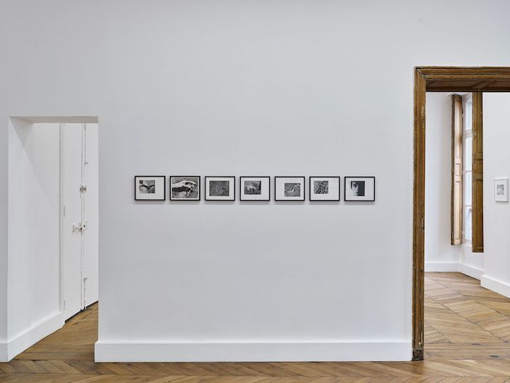 Hervé Guibert & David Wojnarowicz, For an Early Death at Fitzpatrick Gallery, photo 7