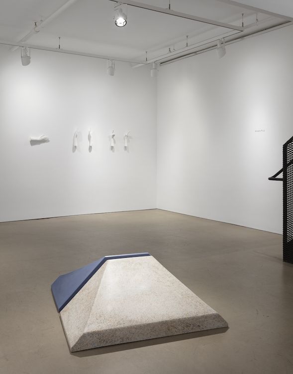 Lawrence Abu Hamdan & Amalia Pica, Tandem at Alexander and Bonin, photo 2