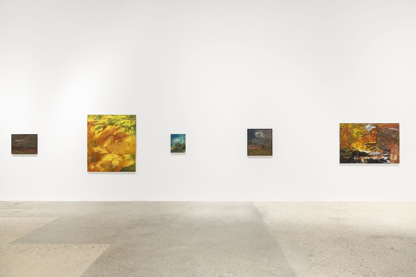 Brett Goodroad, Rainy at Greene Naftali, photo 8