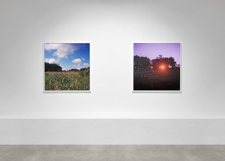 Sky Hopinka, Sunflower Siege Engine at Tanya Leighton, photo 6