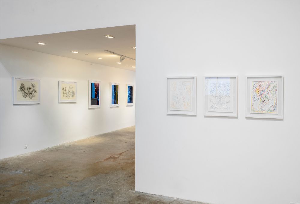 In Sight, In Sight at Olsen Gruin, photo 4