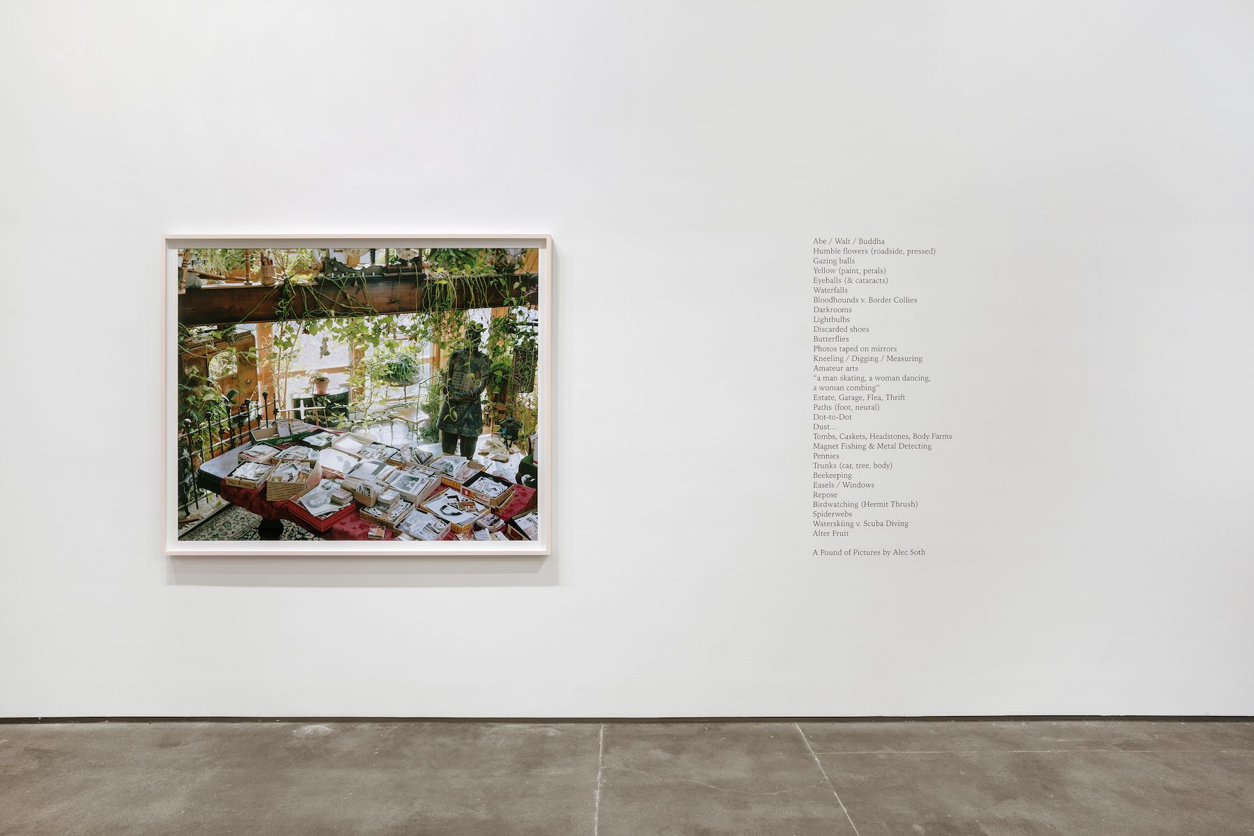 Installation view 2