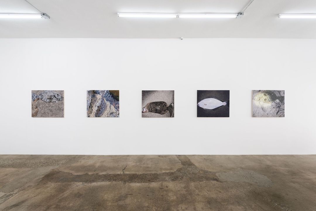 Adam Higgins, Flatfish at Hunter Shaw Fine Art, photo 5