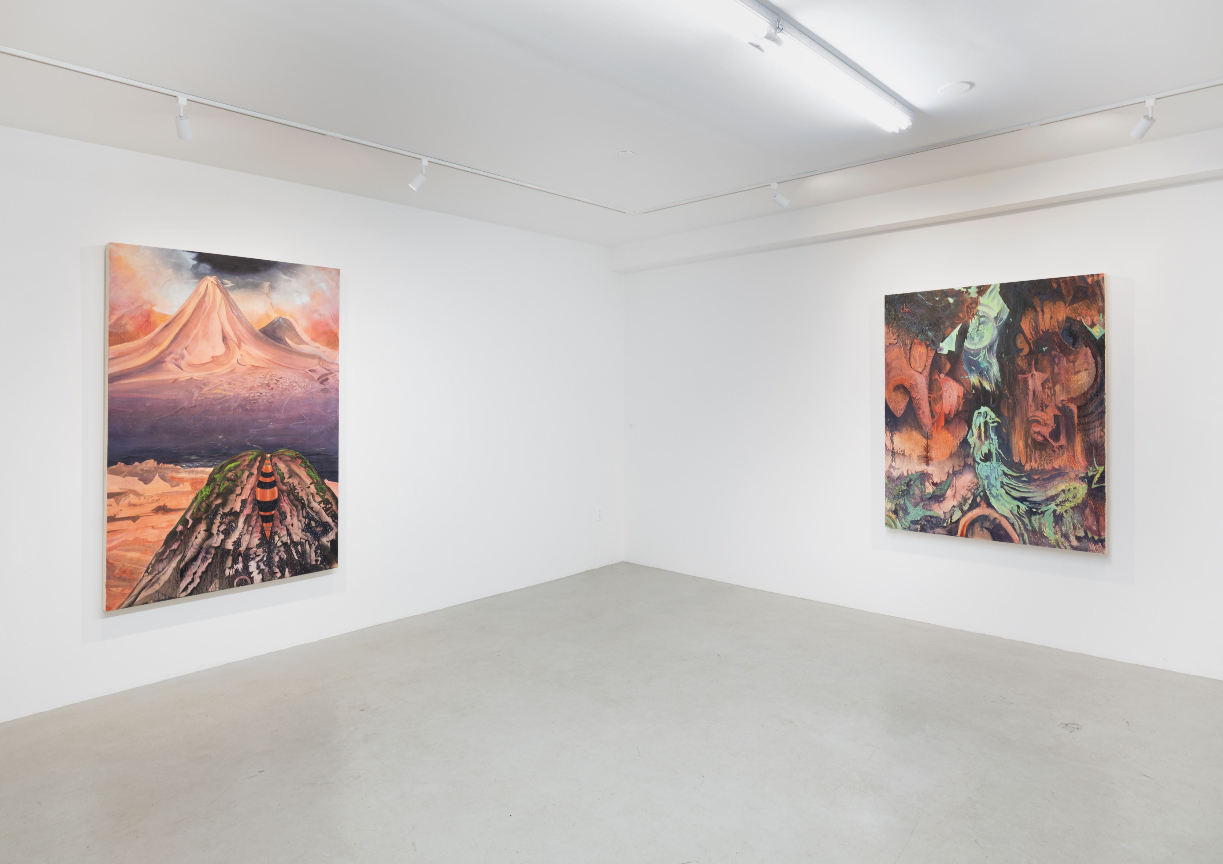 Eleanor Mahin Thorp, Bend of the Southern Cross at Plato, photo 2