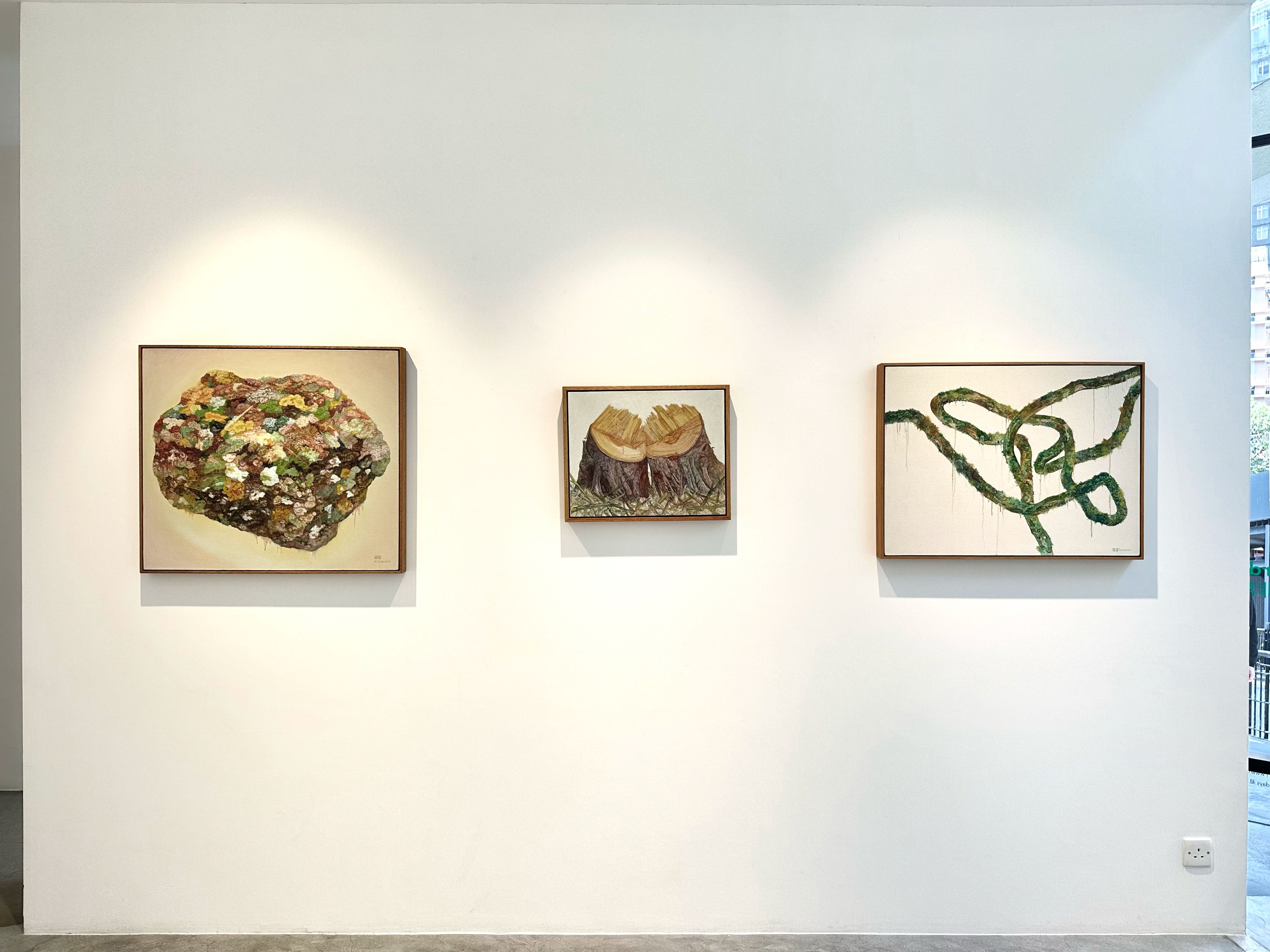 Wu Didi, Extra/Ordinary at Contemporary by Angela Li, photo 3