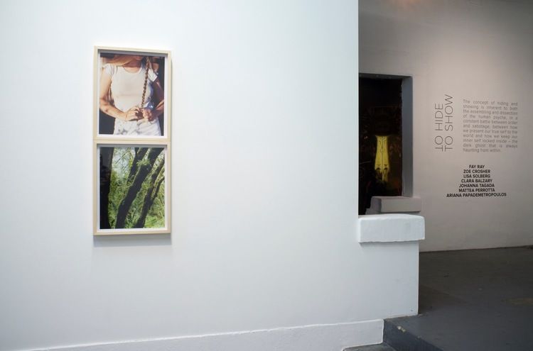 To Hide To Show, To Hide To Show at Mama Gallery, photo 6