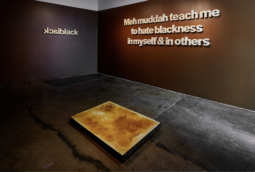 Allana Clarke, Relative Semblance at The Women's Darkroom + Gallery, photo 3
