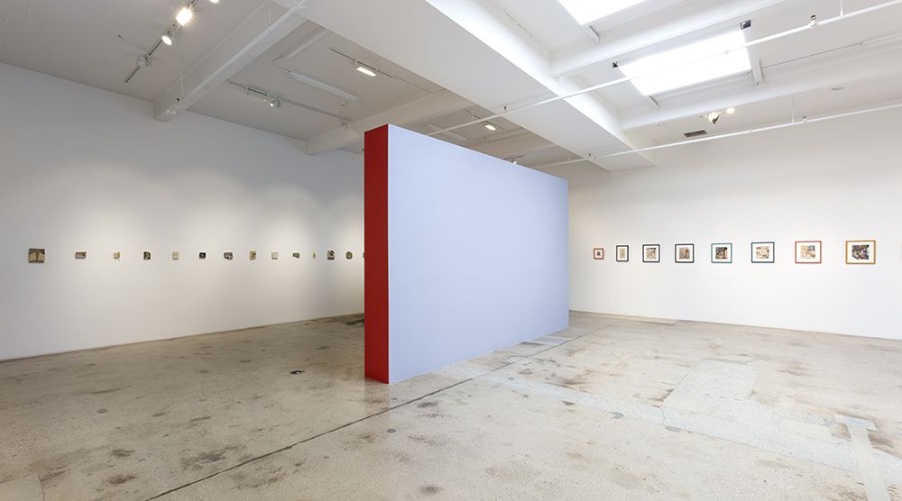 Kevin McNamee-Tweed, Probable Presence at Steve Turner, photo 13