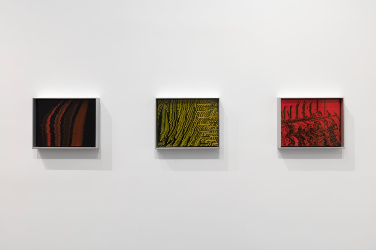 Tauba Auerbach, A Broken Stream at Paula Cooper, photo 2