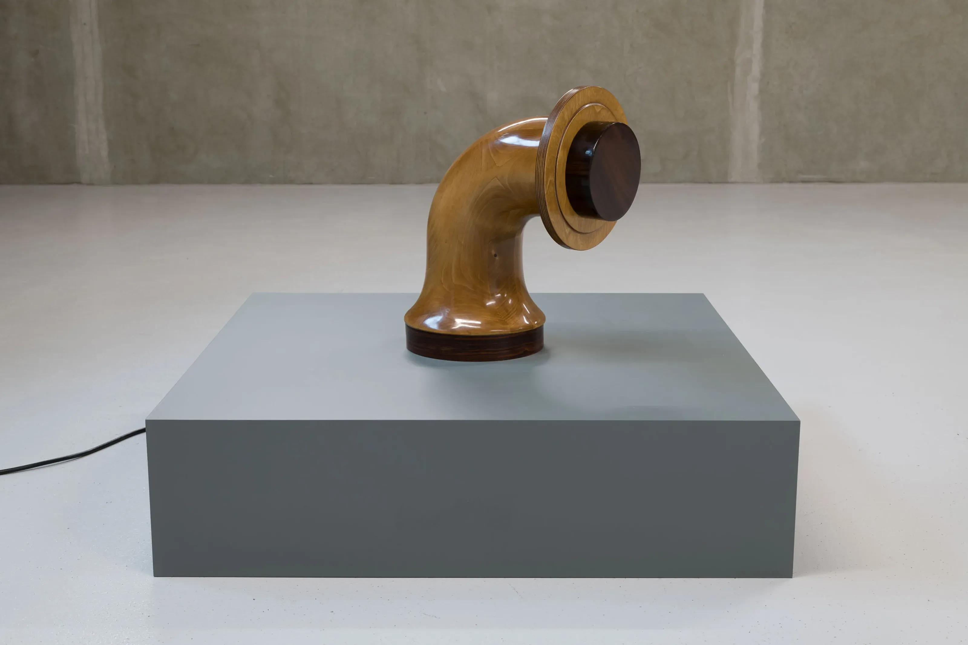 Dora Budor, Old World at Molitor, photo 5