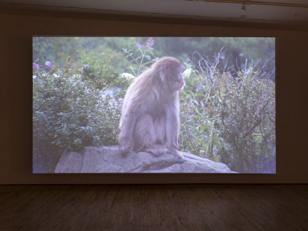 Basim Magdy, Basim Magdy at Art in General, photo 5