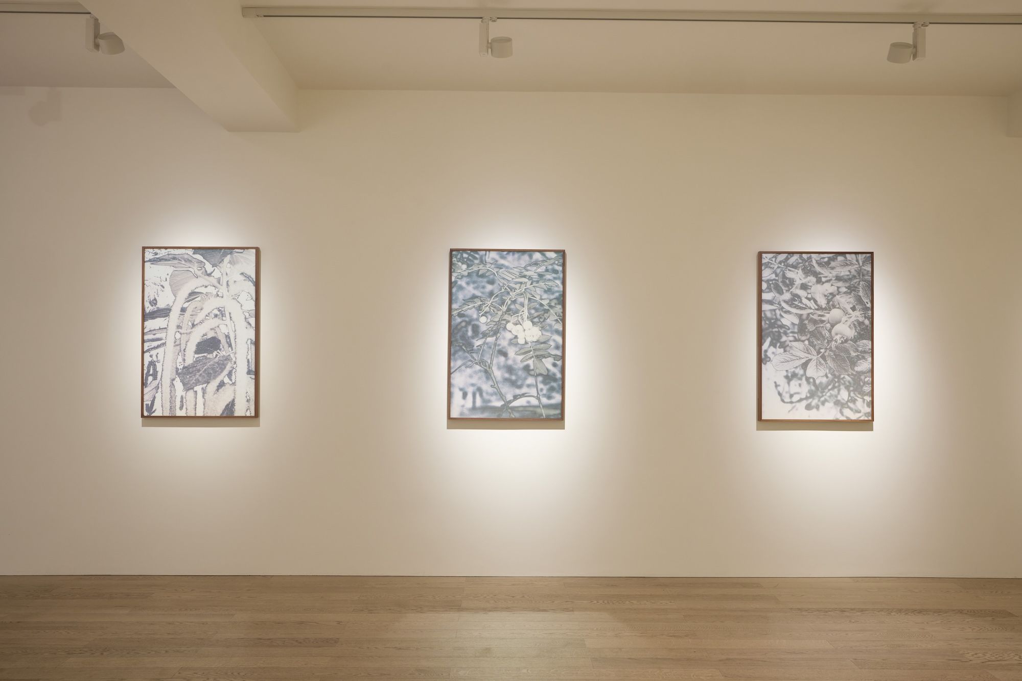 Xiaochi Dong & Feiyi Wen, The Garden and the Gaze at Albion Jeune, photo 3