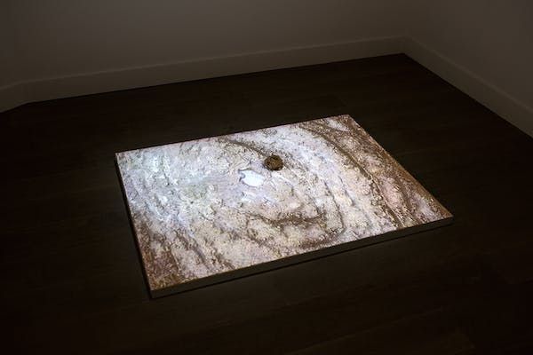 Mohammad AlFaraj, The Date Fruit of Knowledge at Mennour, photo 7