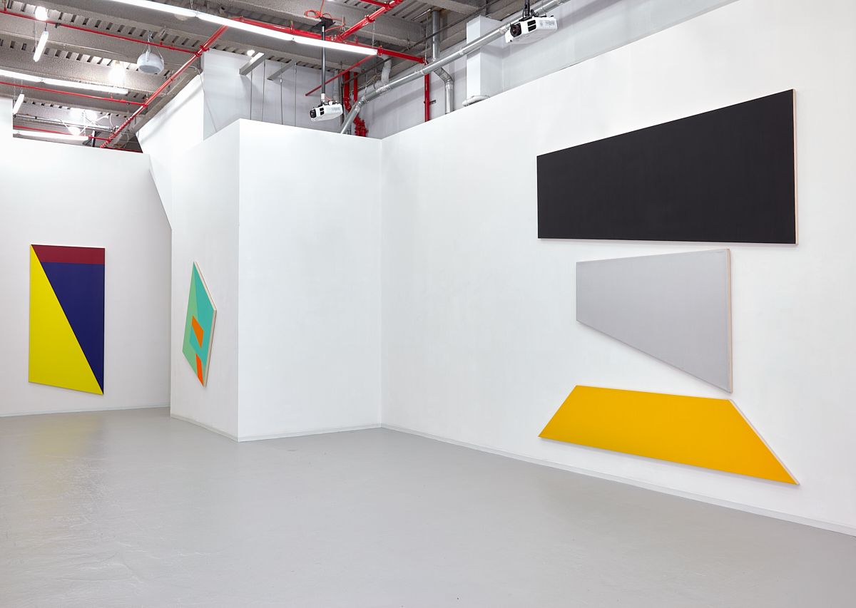 Leo Valledor, Dimensional Space at David Richard Gallery, photo 12