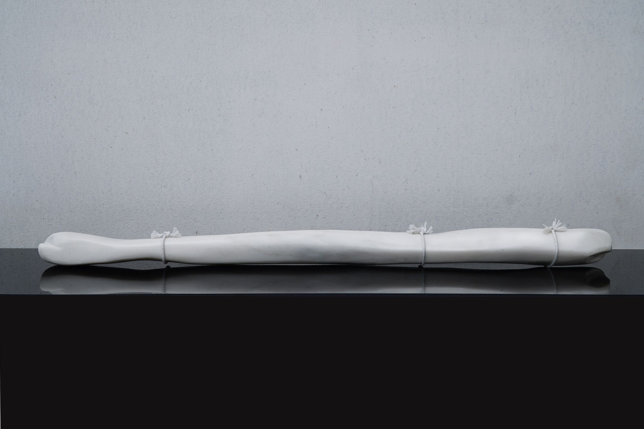 Virginia Lee Montgomery, Pony Cocoon at False Flag, photo 6