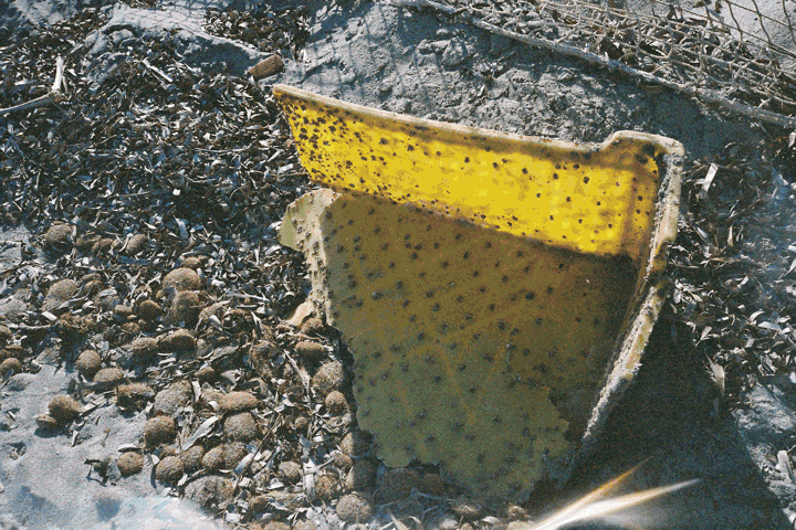 Mino, Unfair at Zéruì, photo 3