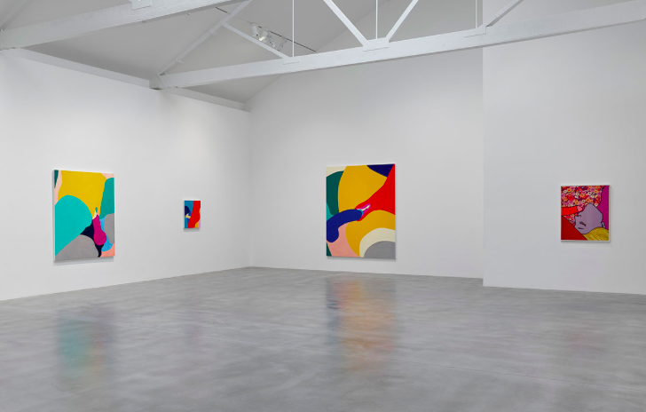 True Colours, True Colours at Newport Street Gallery, photo 5