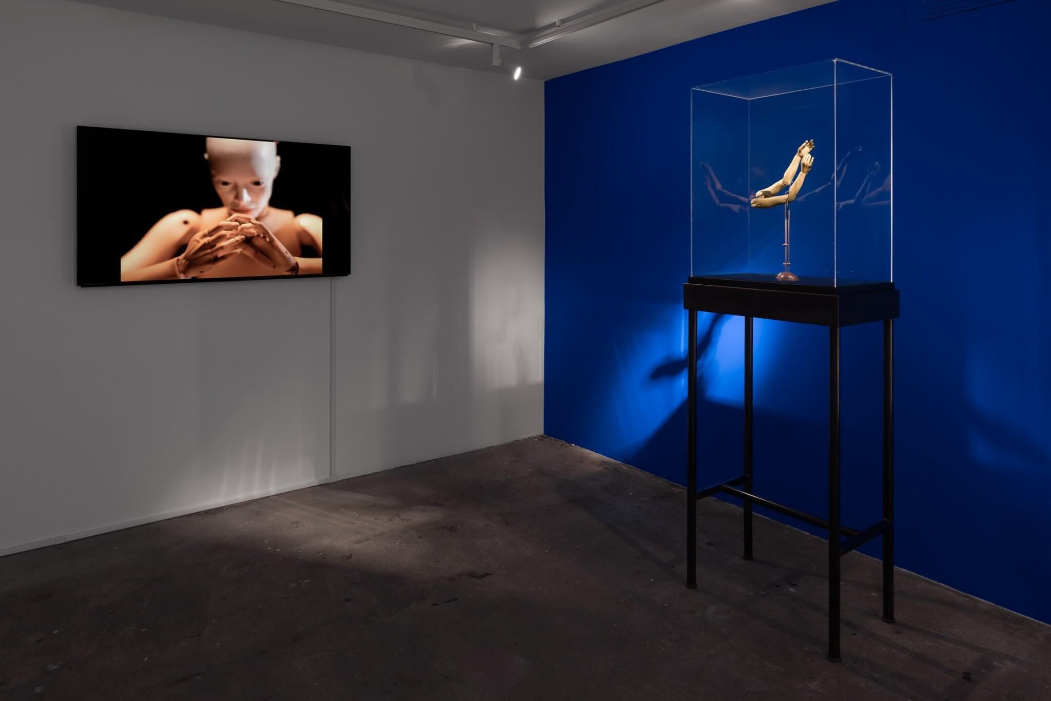 Louise Bonnet & Elizabeth King, De Anima at Swiss Institute, photo 8