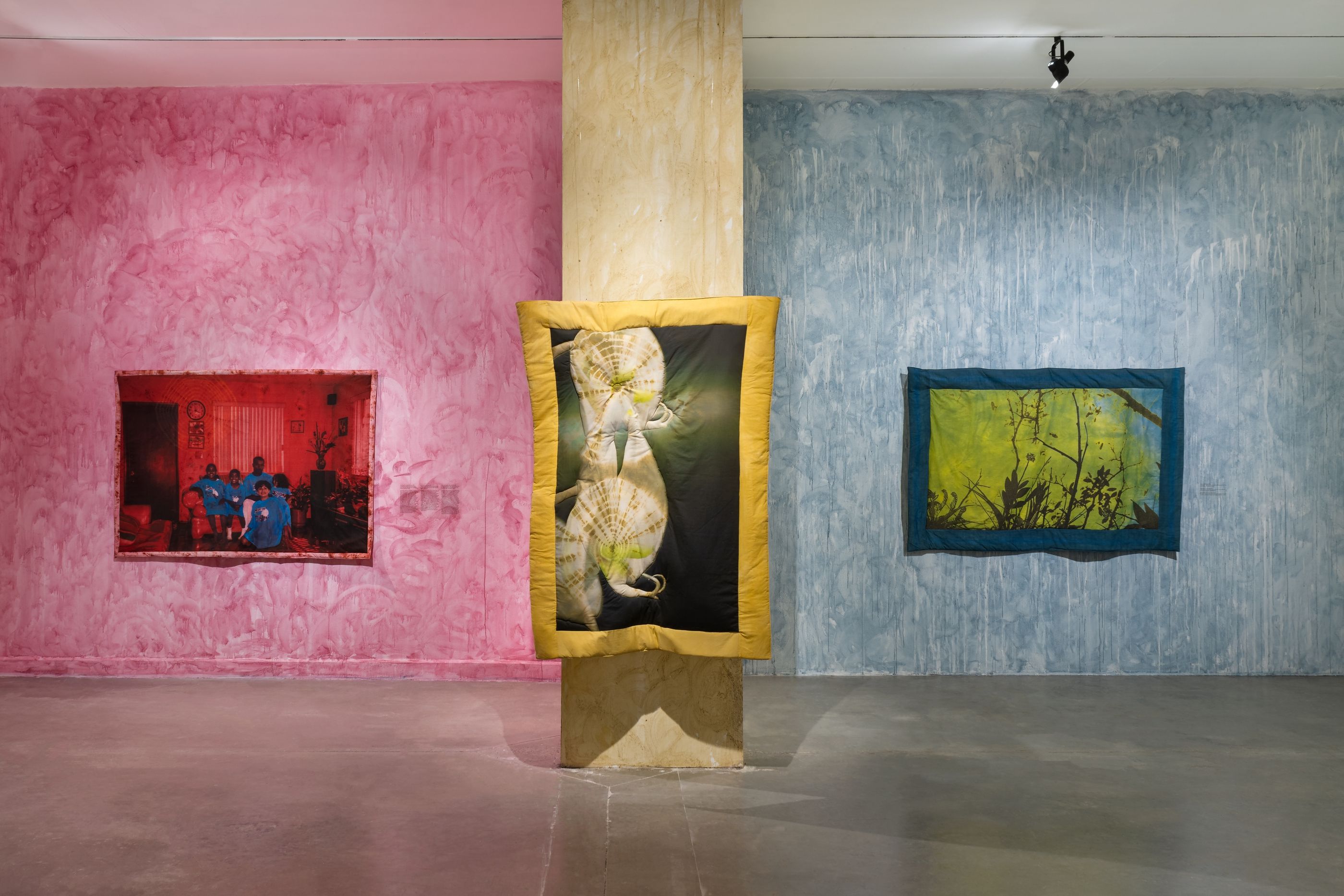 Diana Eusebio, Field of Dreams at MOCA North Miami, photo 3