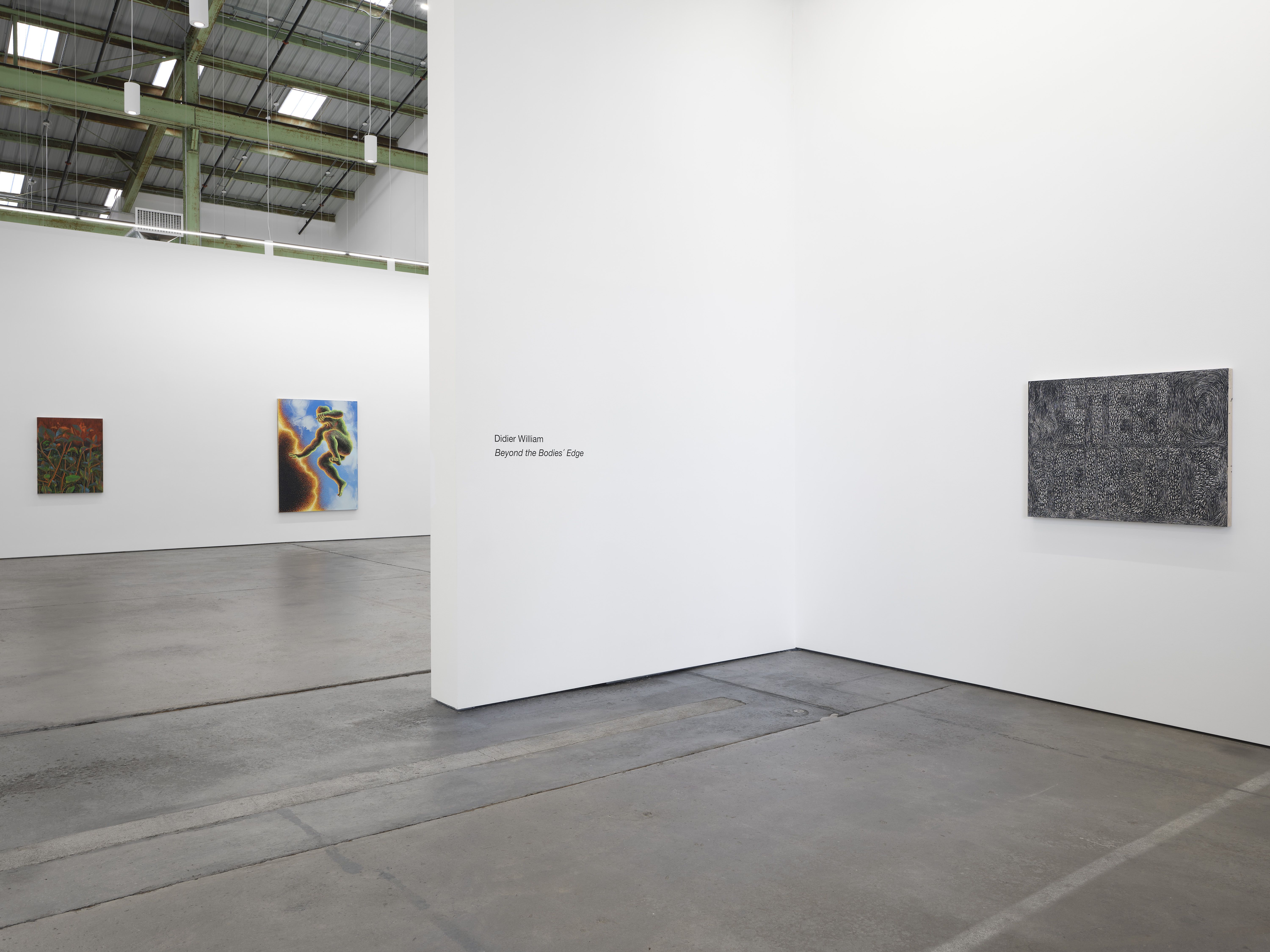 Didier William, Beyond the Bodies’ Edge at Altman Siegel, photo 9