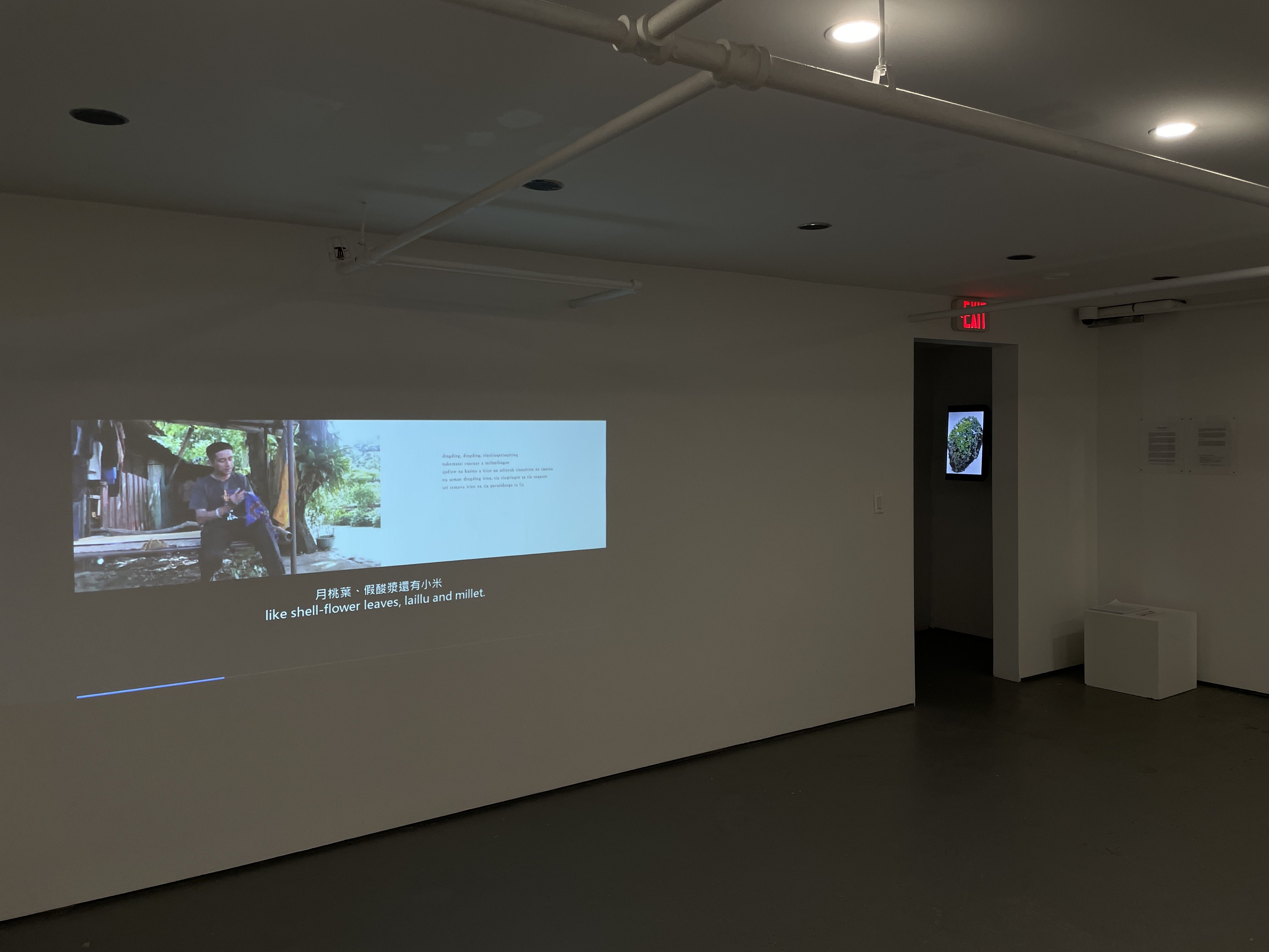 En-Man Chang, Mapping Snail at Nunu Fine Art, photo 7