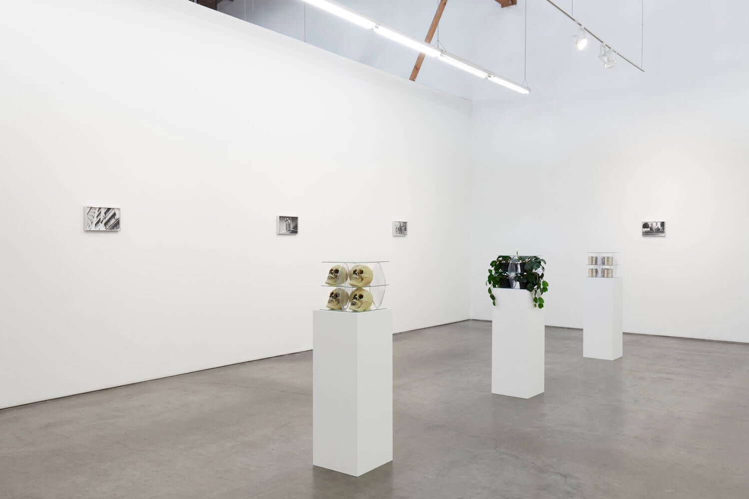 Patrick Jackson, My Dark Architect at François Ghebaly, photo 6