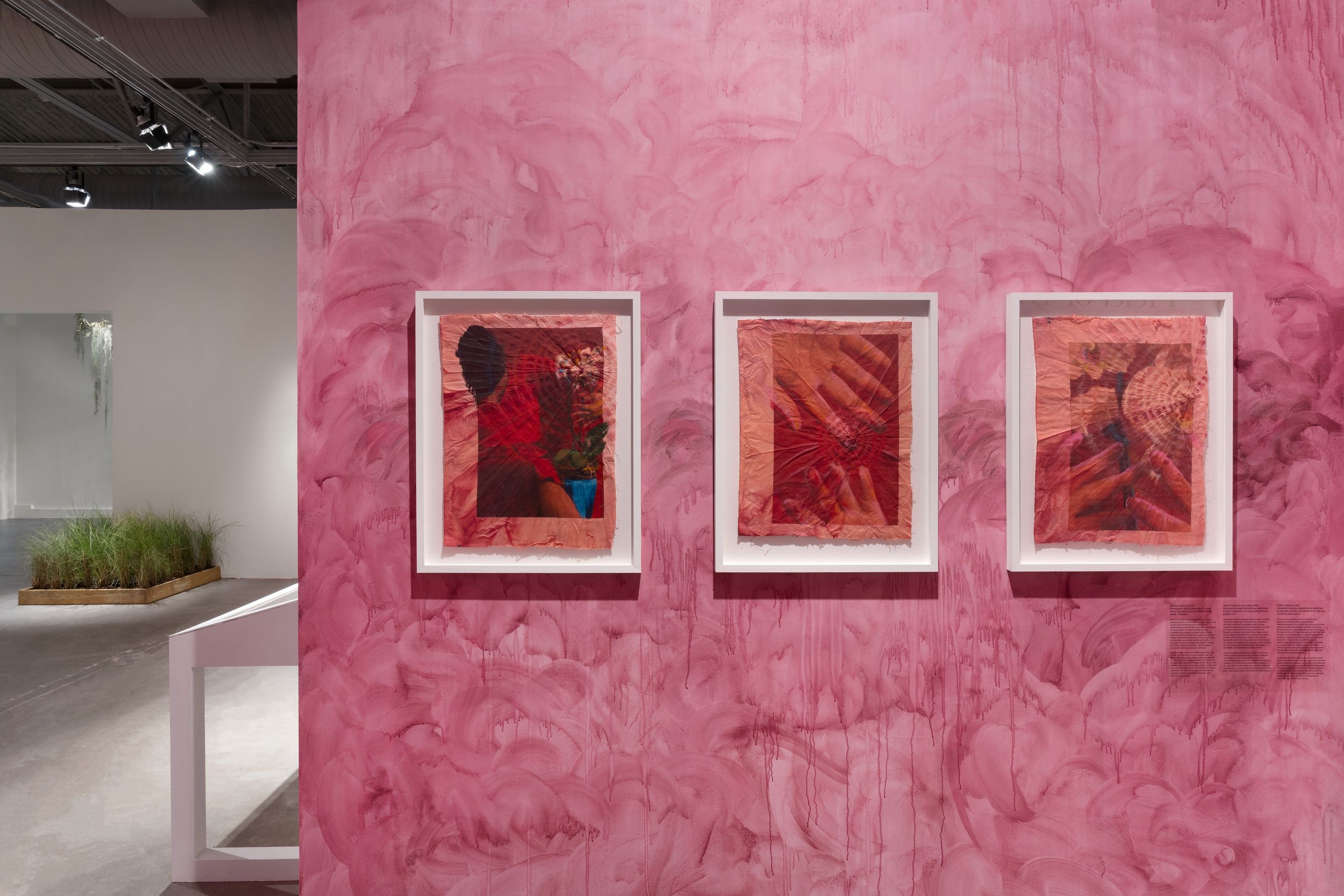 Diana Eusebio, Field of Dreams at MOCA North Miami, photo 10