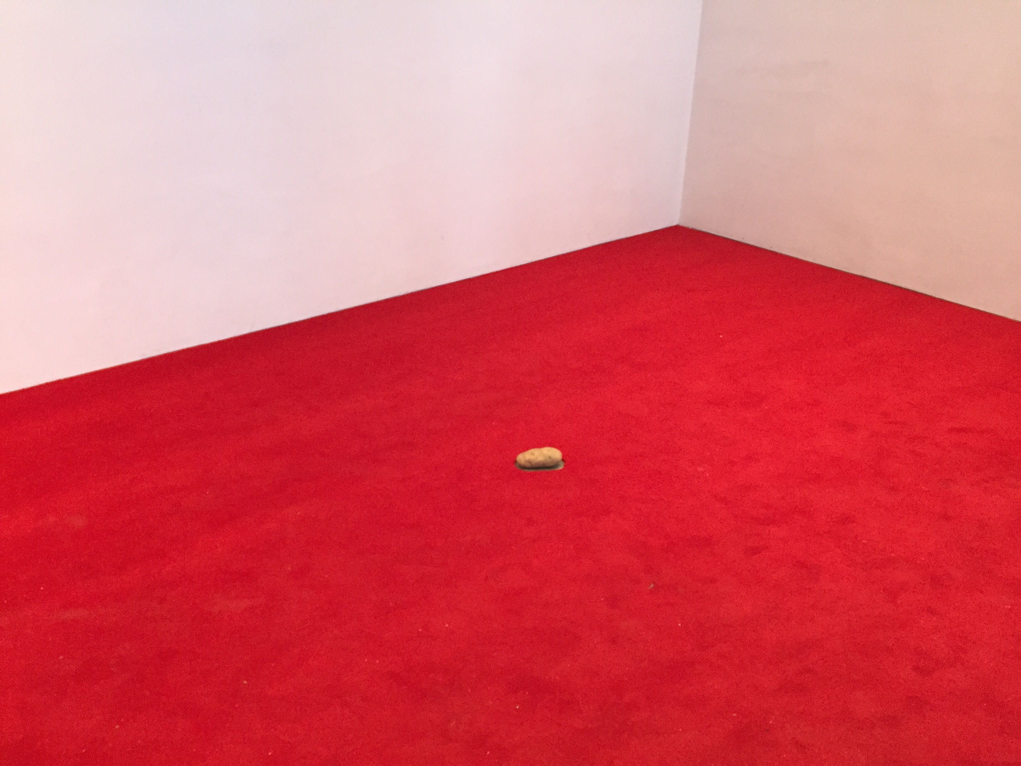 John Miller, Here in the Real World at Mary Boone, photo 5