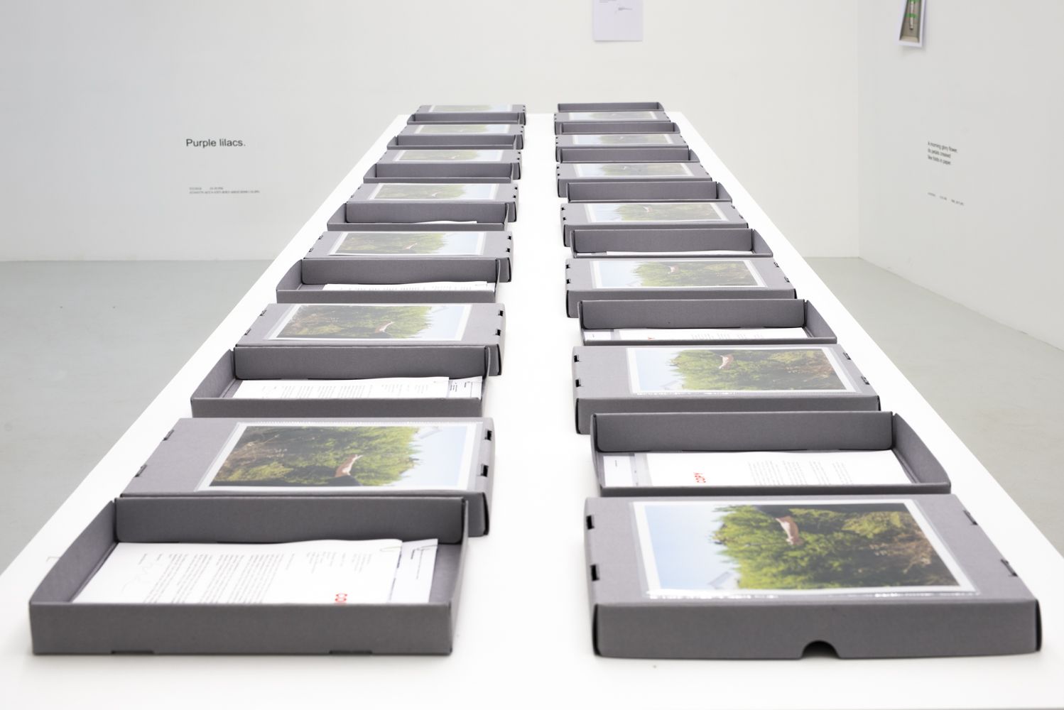 David Horvitz, Avenues All Lined With Trees at Jean-Kenta Gauthier | Vaugirard, photo 2