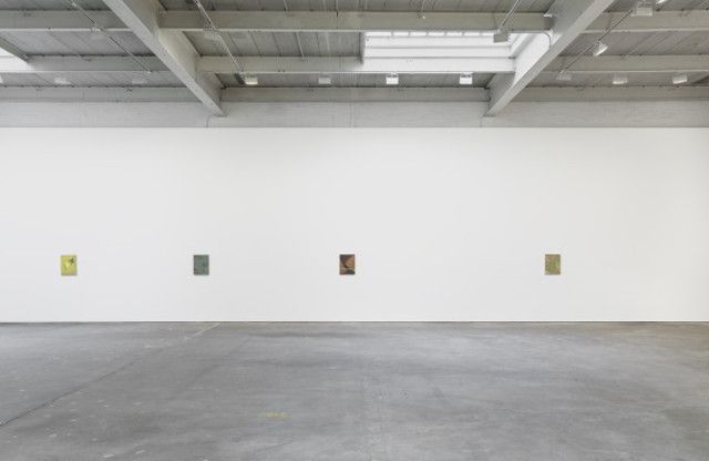 Tomma Abts, Tomma Abts at David Zwirner, photo 3