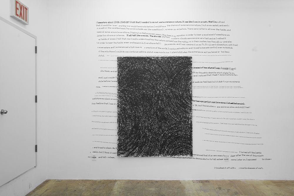 Jason Matthew Lee, Entropy at Eli Ping Frances Perkins, photo 8