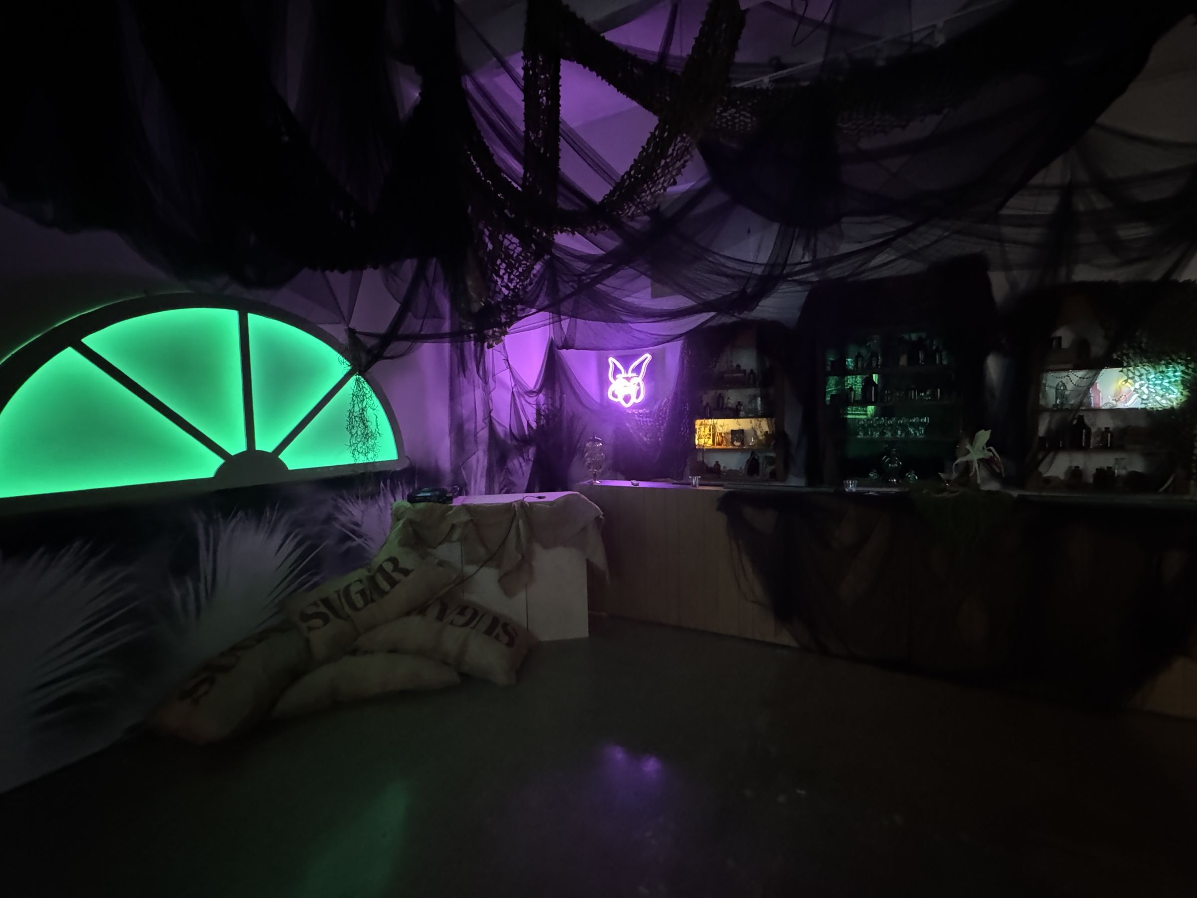 Tara Long, La Esquinita at Locust Projects, photo 2