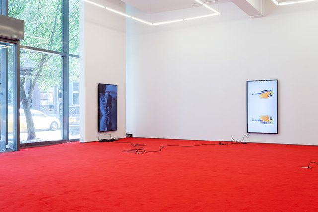 Cory Arcangel, tl;dr at Team, photo 4