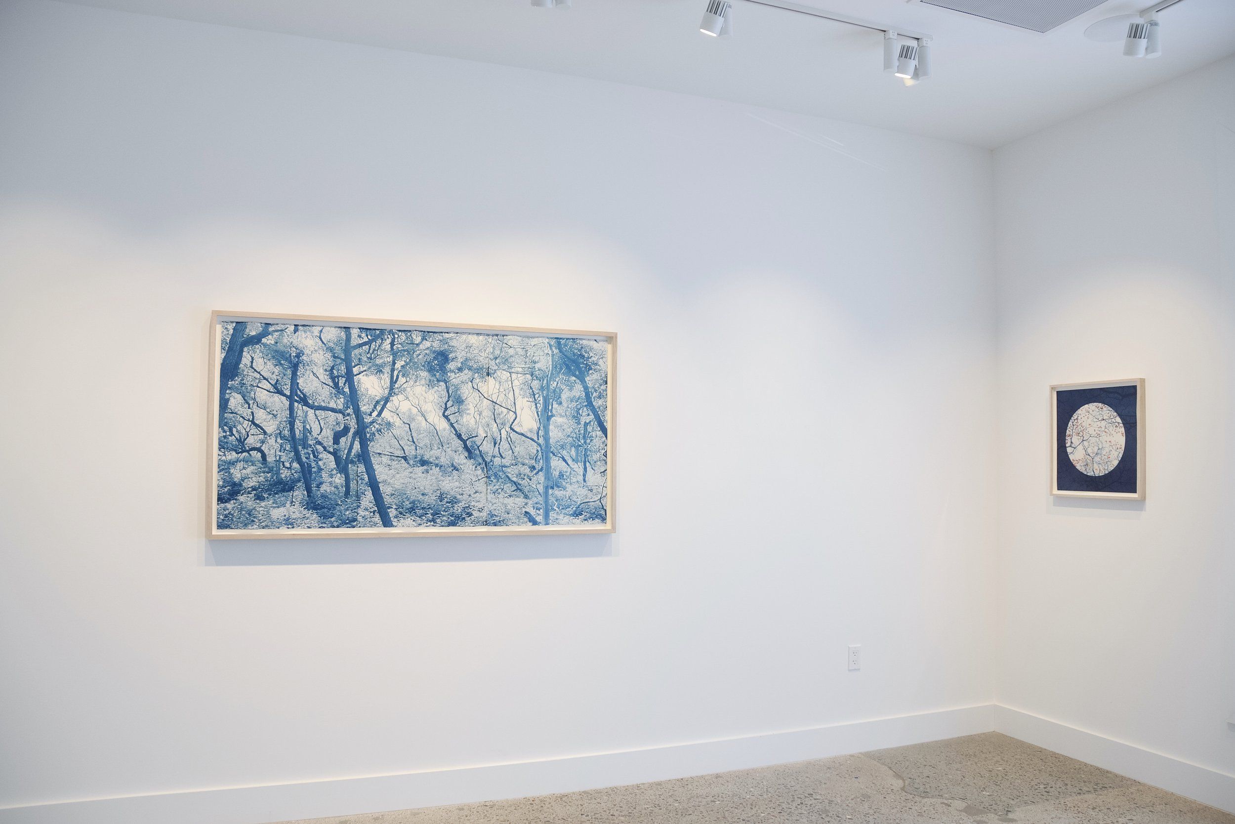 Dora Somosi, Understory, In Blue at Sarah Shepard, photo 4
