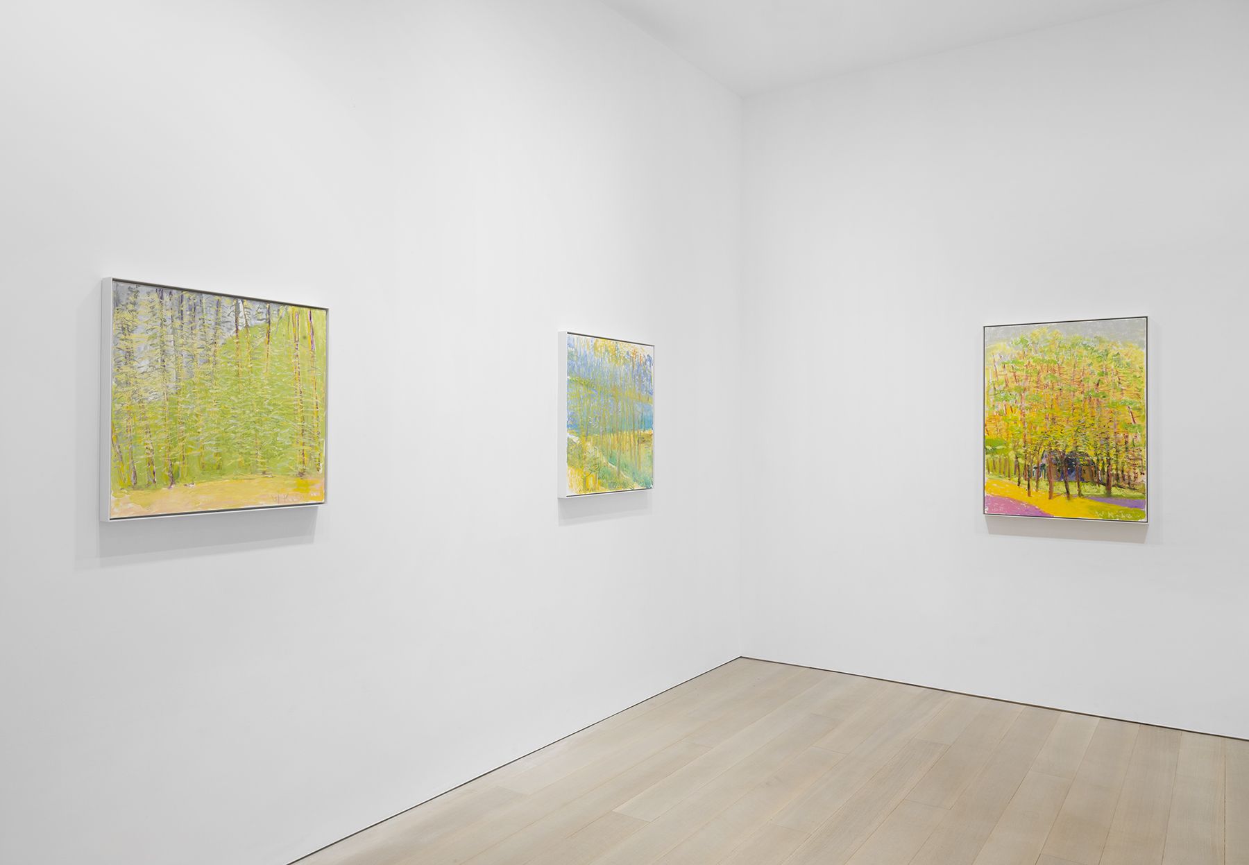 Wolf Kahn, Wolf Kahn at Miles McEnery, photo 4