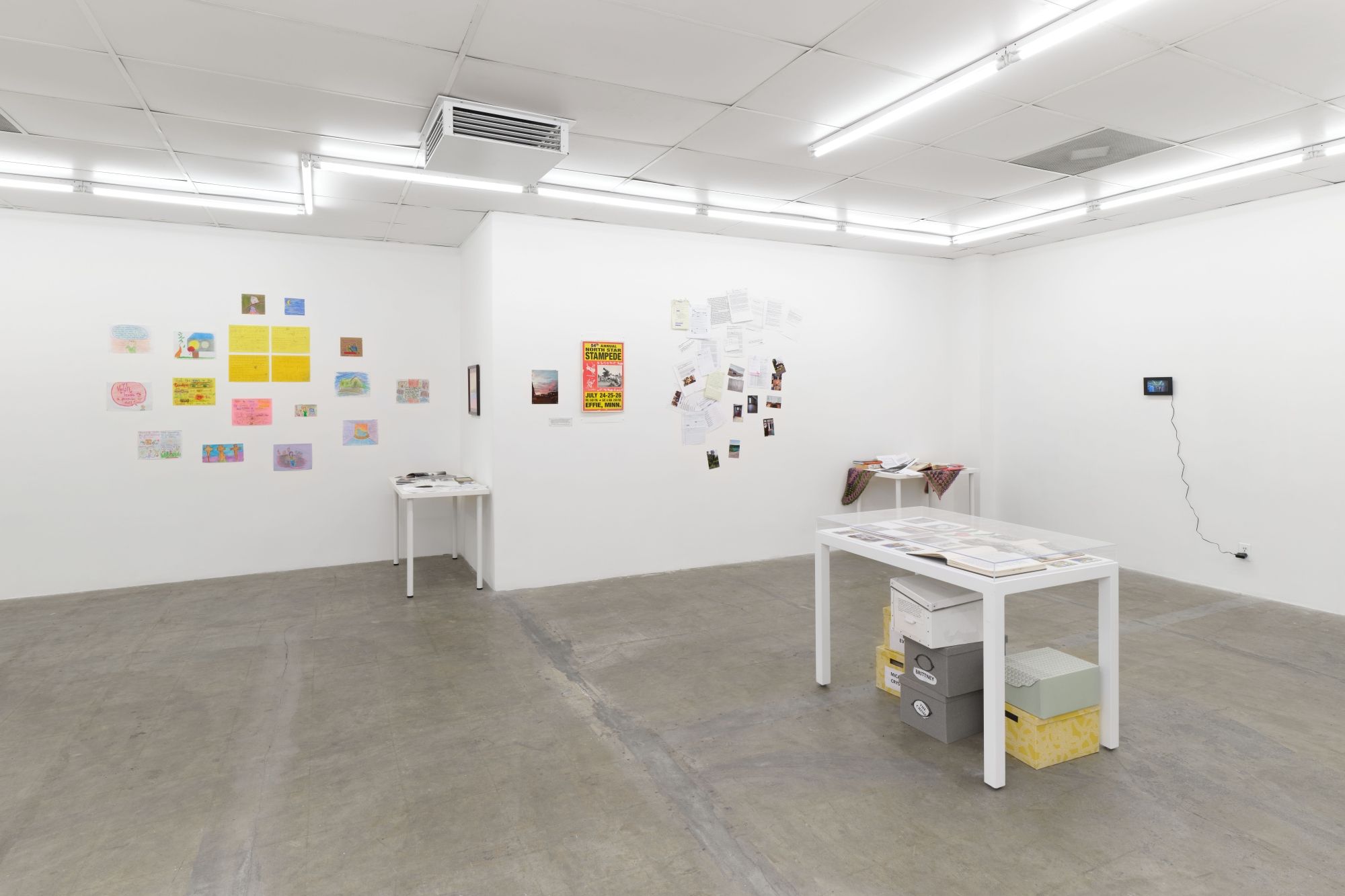 Juliana Halpert & Chris Kraus, Civil Commitment at Bel Ami, photo 3