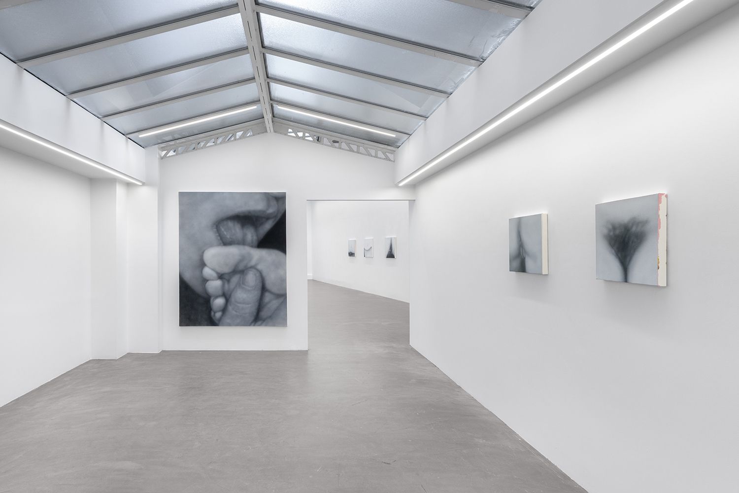 Betty Tompkins, Sex Paintings at Bremond Capela, photo 7
