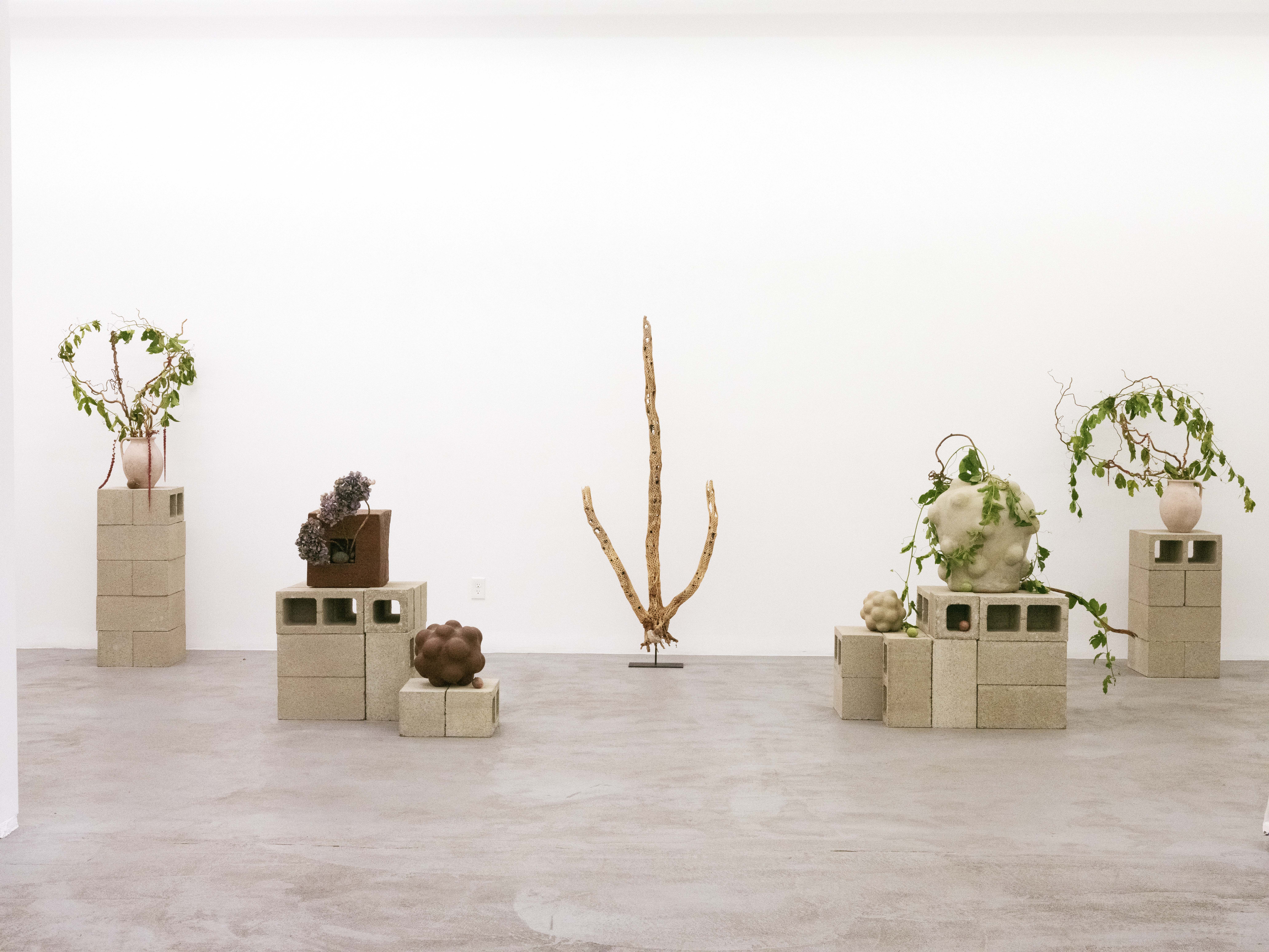 Occurrence: The Art of Nature Meets Science, Occurrence: The Art of Nature Meets Science at Rele, photo 19