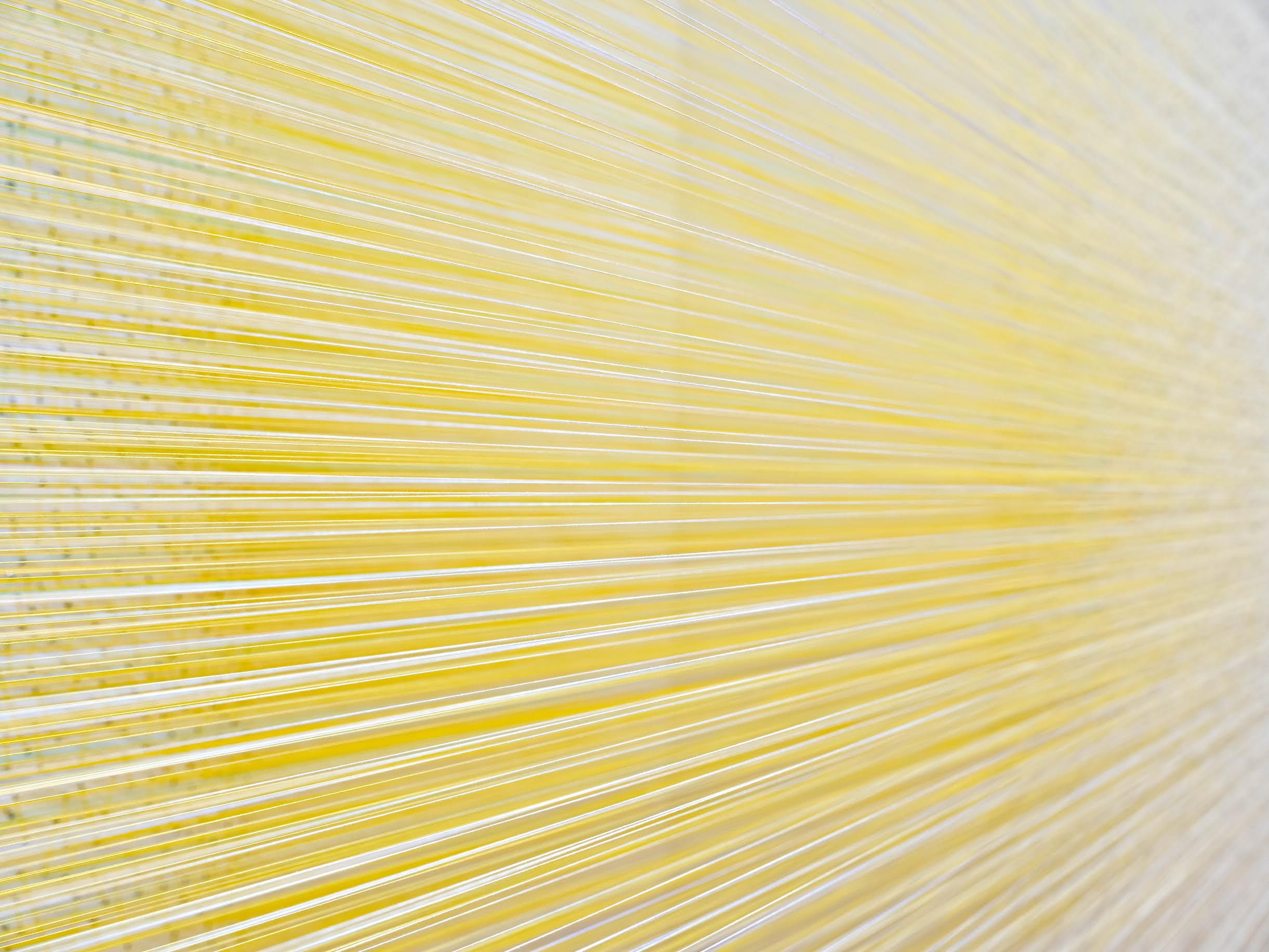 Woven Abstractions, Woven Abstractions at Bienvenu Steinberg & C, photo 5