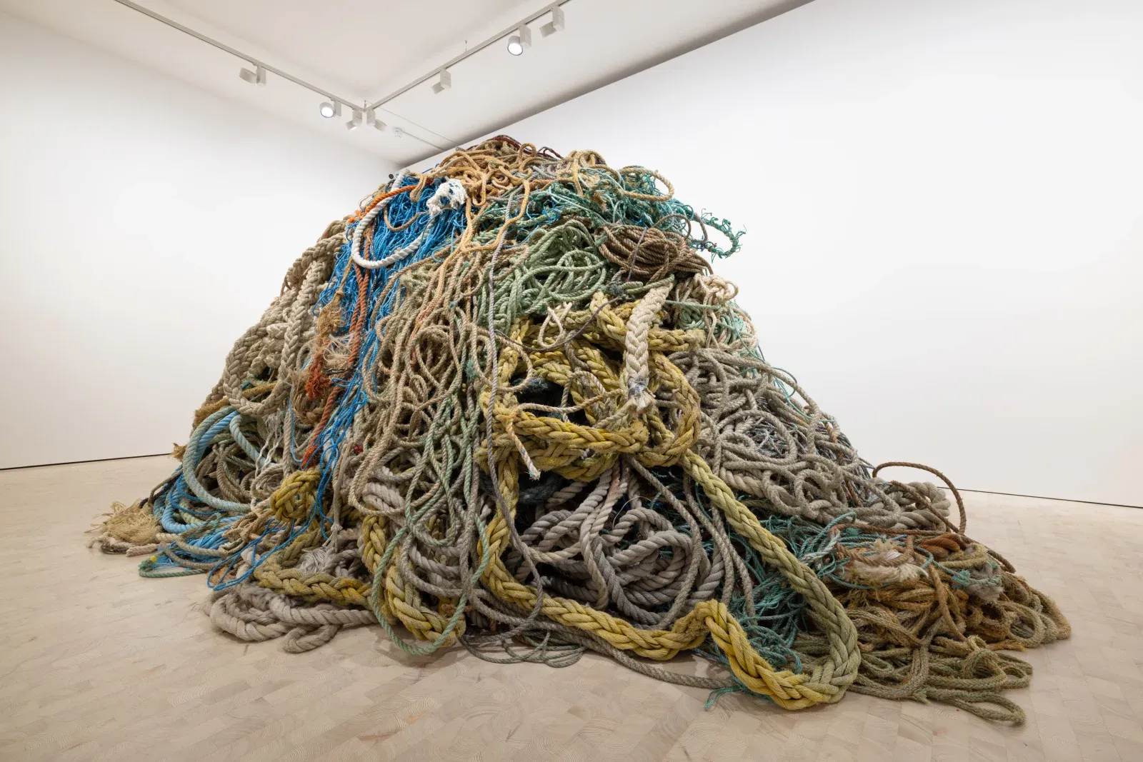 David Shrigley, Exhibition of Old Rope at Stephen Friedman, photo 2