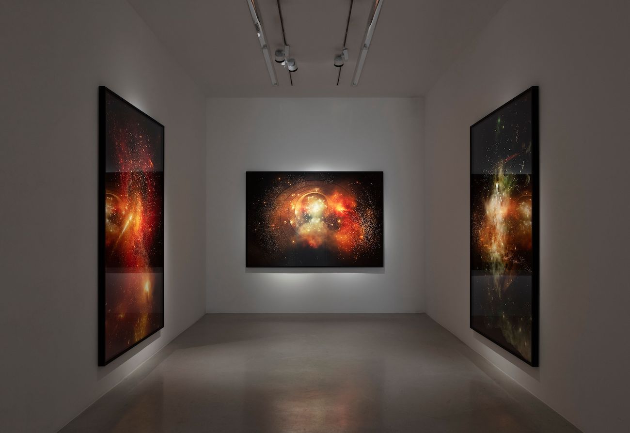Julian Charrière, Panchronic Gardens at Perrotin, photo 3